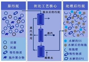 bevictor伟德-伟德bv国际体育官方网站
