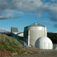 bevictor伟德-伟德bv国际体育官方网站