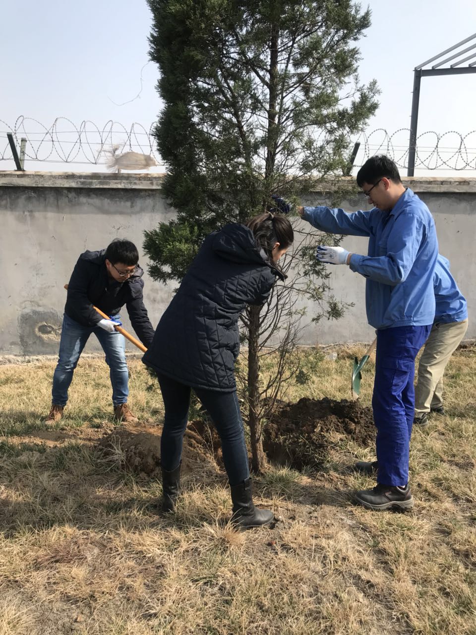 bevictor伟德-伟德bv国际体育官方网站