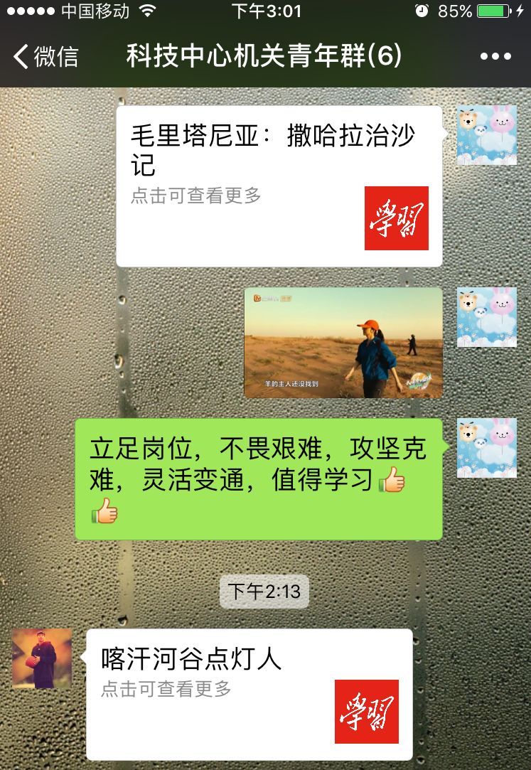 bevictor伟德-伟德bv国际体育官方网站