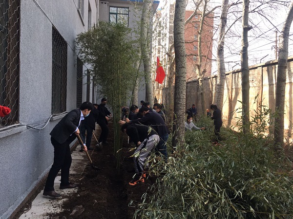 bevictor伟德-伟德bv国际体育官方网站