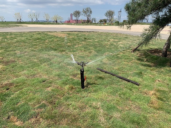 bevictor伟德-伟德bv国际体育官方网站