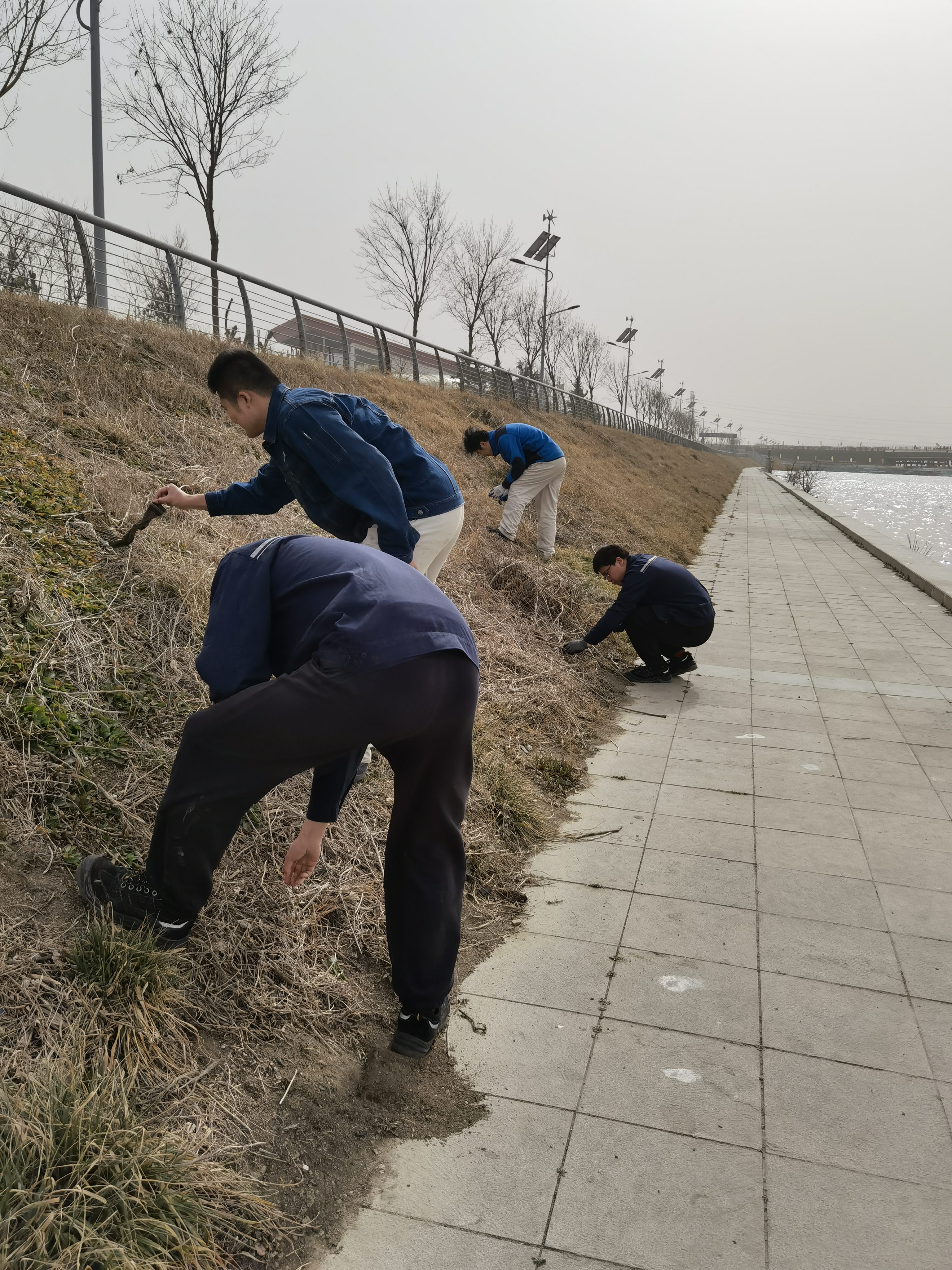 bevictor伟德-伟德bv国际体育官方网站
