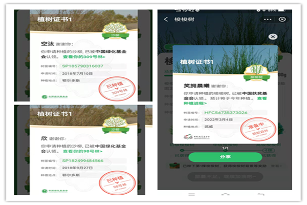 bevictor伟德-伟德bv国际体育官方网站